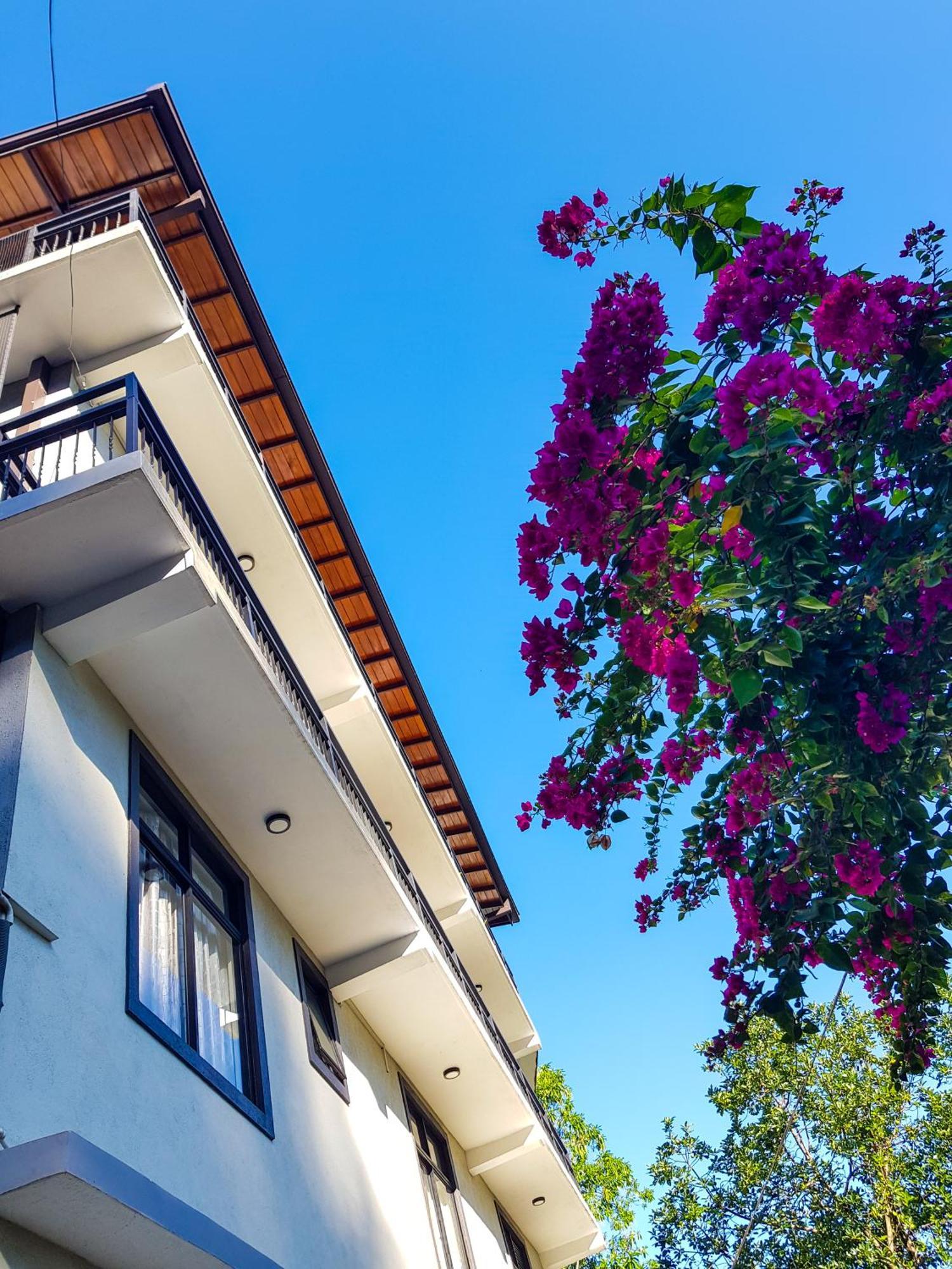 Lush Breeze Ξενοδοχείο Κάντι Εξωτερικό φωτογραφία